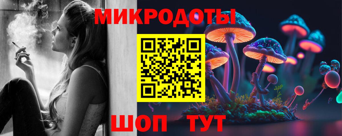 Галлюциногенные грибы Psilocybine cubensis Брянск